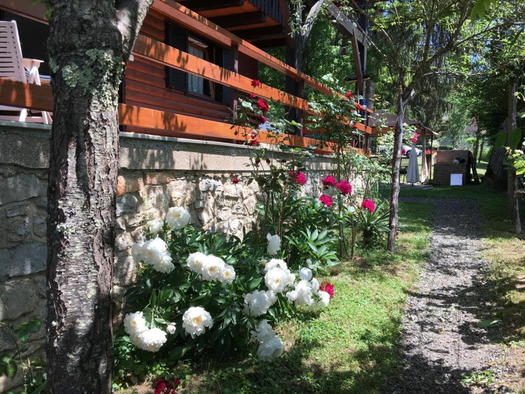 Chalet Slap Na Kupi Severin na Kupi Exterior foto